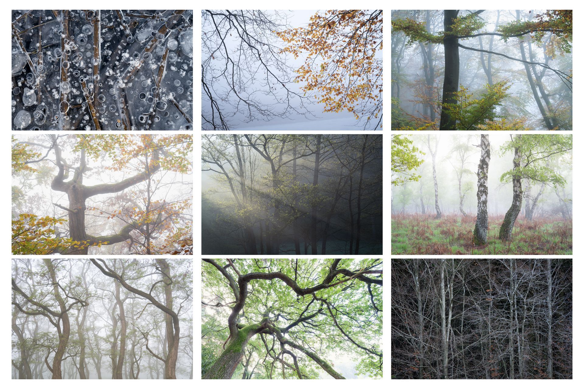 Vorschaubild der Heimat Gallerie mit 3x3 Bildern aus der Heimat von Felix Stensitzky