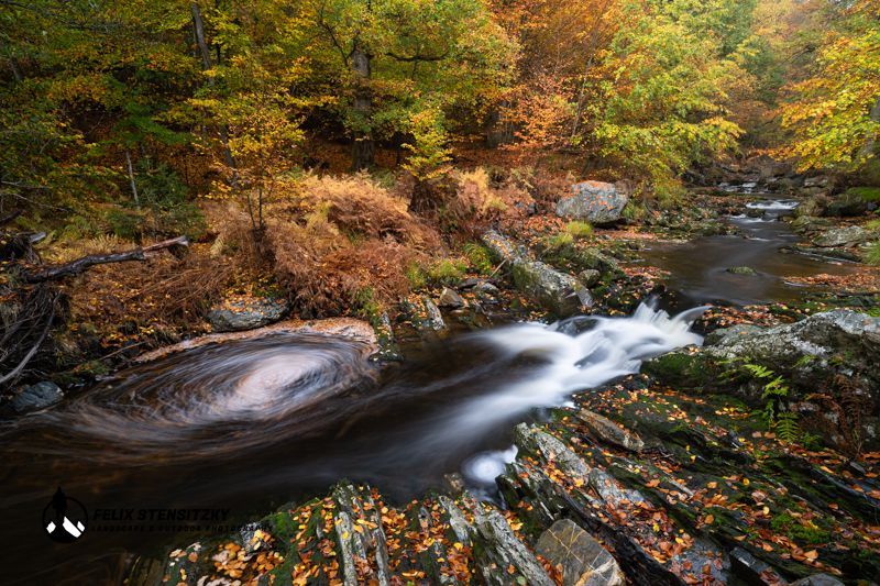 Ein Foto von einem kleinen Bach der sich durch den herbstlichen Wald schlängelt