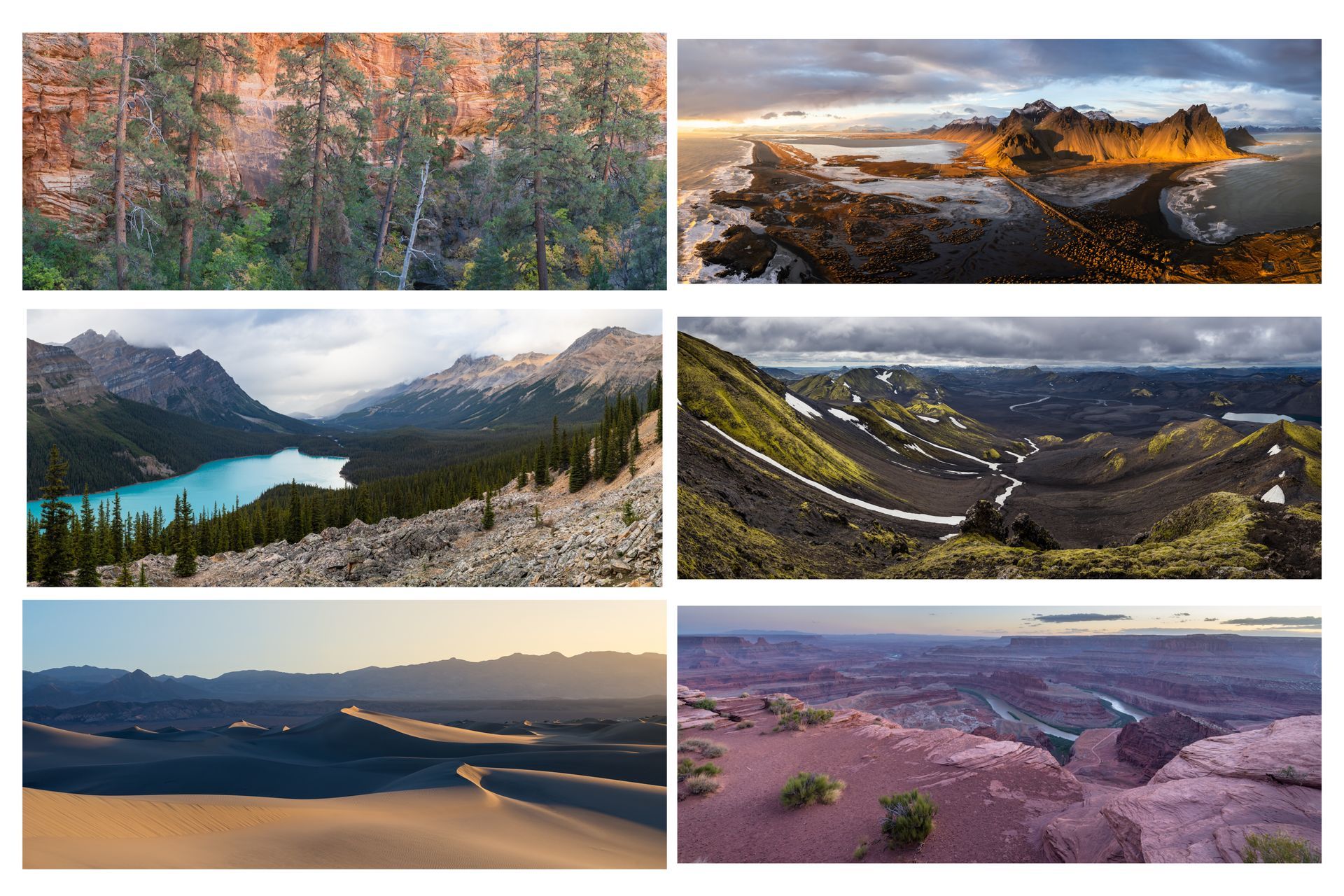 Panoramaaufnahme im Zion NP mit Bäumen und Felsen