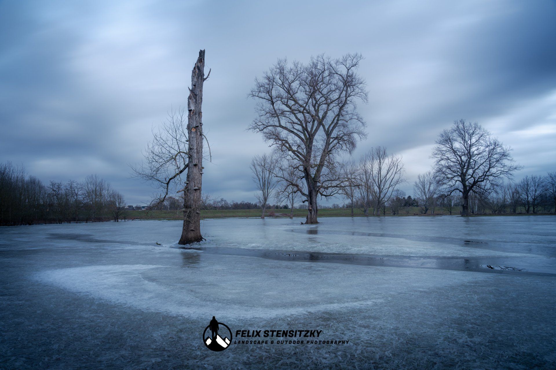 trees on flooded and frozen river meadows
