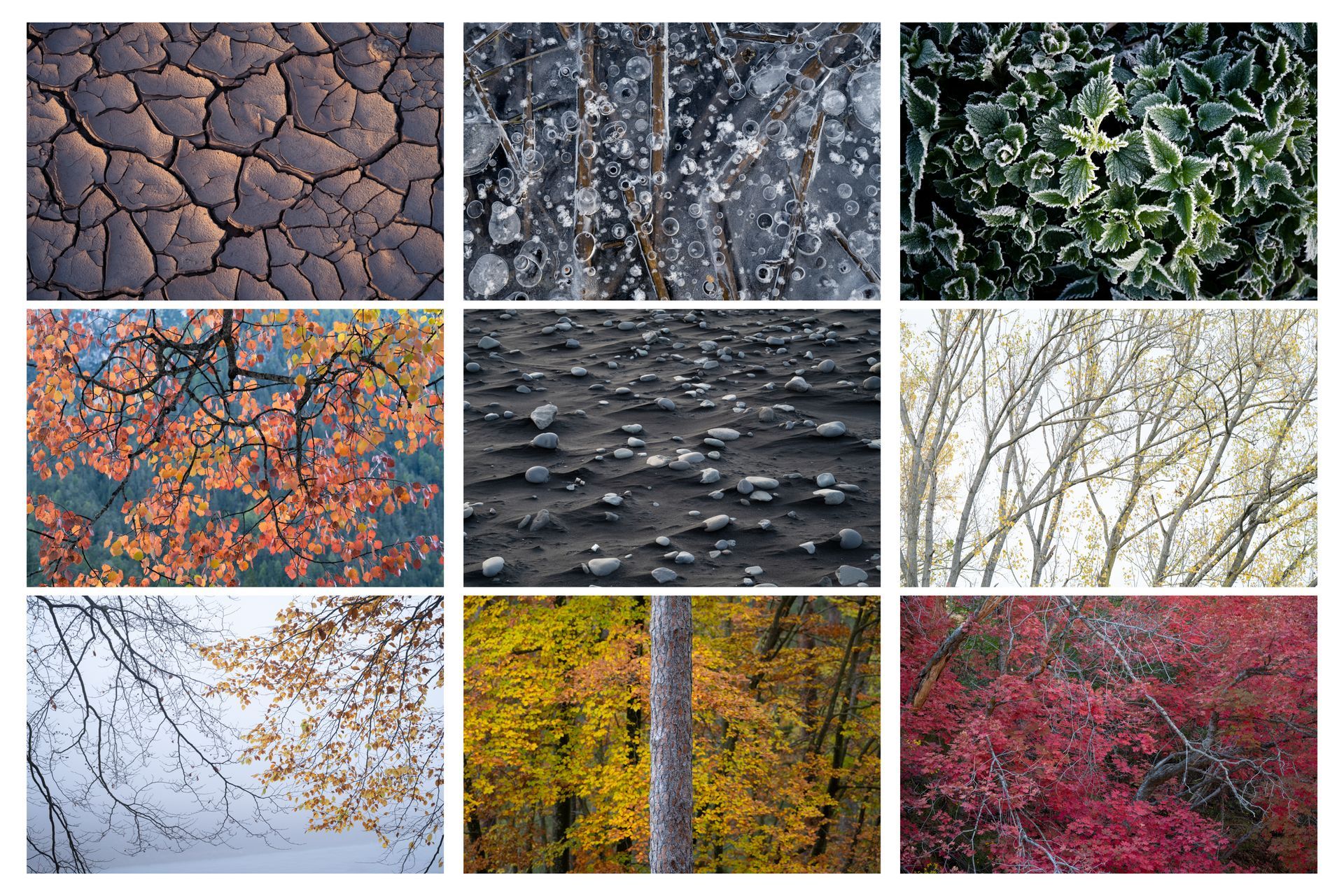 preview picture of the gallery small scenes with 3x3 pictures