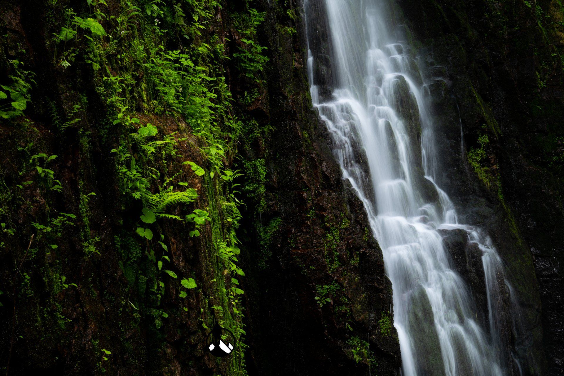 picture of a waterfall in the black forest during spring