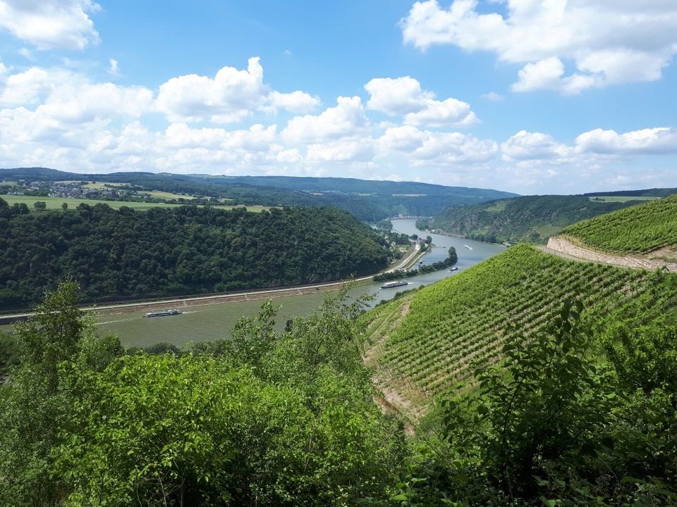 Pro Mittelrhein: Blick vom Premiumwanderweg Rheinstein bei Nochern ins Rheintal / Foto: Redaktion