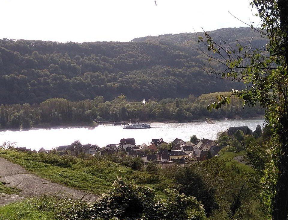 Pro Mittelrhein: Der Geysir in Aktion mit Sicht aus Leutesdorf nach Andernach (Foto Gerhard Schneider / Look & Cook Andernach)