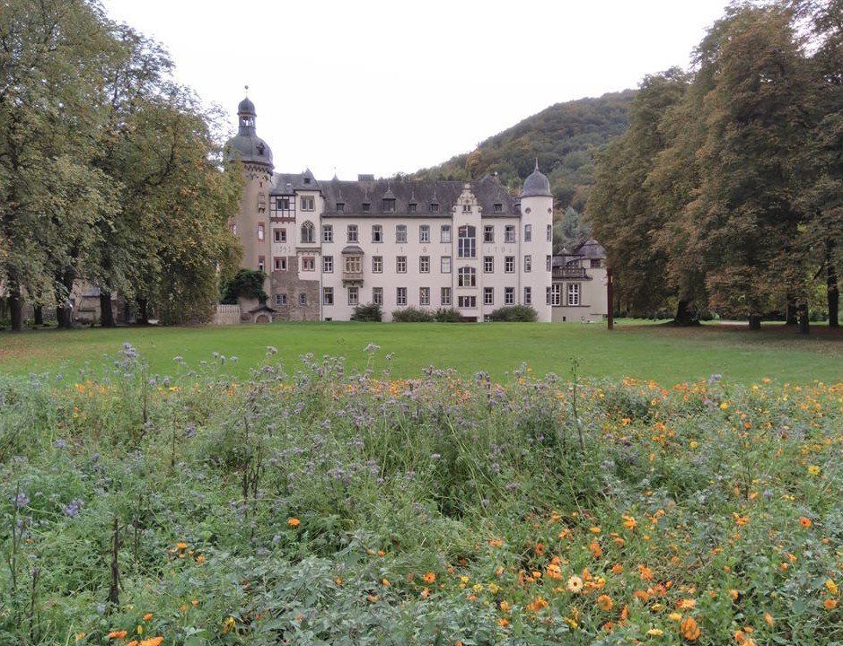 Pro Mittelrhein: Burg Namedy (Foto Gerhard Schneider / Look & Cook Andernach)