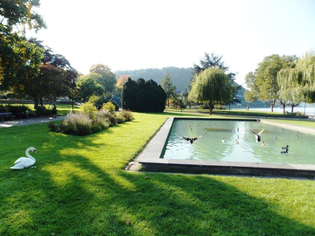 Die Rheinanlagen in Andernach - immer wieder schön zu besuchen... Pro Mittelrhein: Die Rheinanlagen in Andernach - immer wieder schön zu besuchen