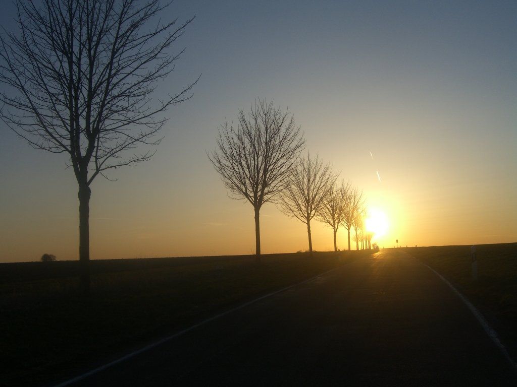 Sonnenallee zwischen Münstermaifeld und Mörz / Foto: Redaktion Sonnenallee zwischen Münstermaifeld und Mörz / Foto: Redaktion