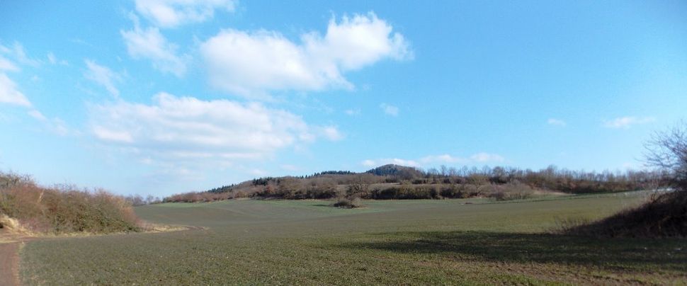 Pro Mittelrhein: Blick aus Ochtendung auf den Karmelenberg