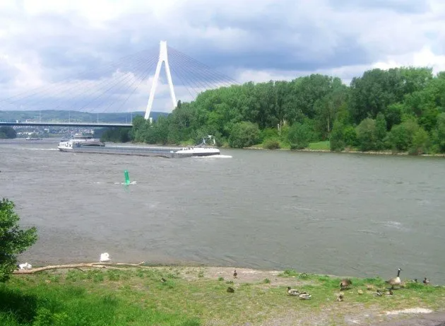 Am Rheinufer in Weißenthurm / Foto: Redaktion