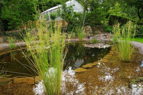 Gartengestaltung und Landschaftsbau Gartengestaltung und Landschaftsbau Thielen KG Sankt Sebastian