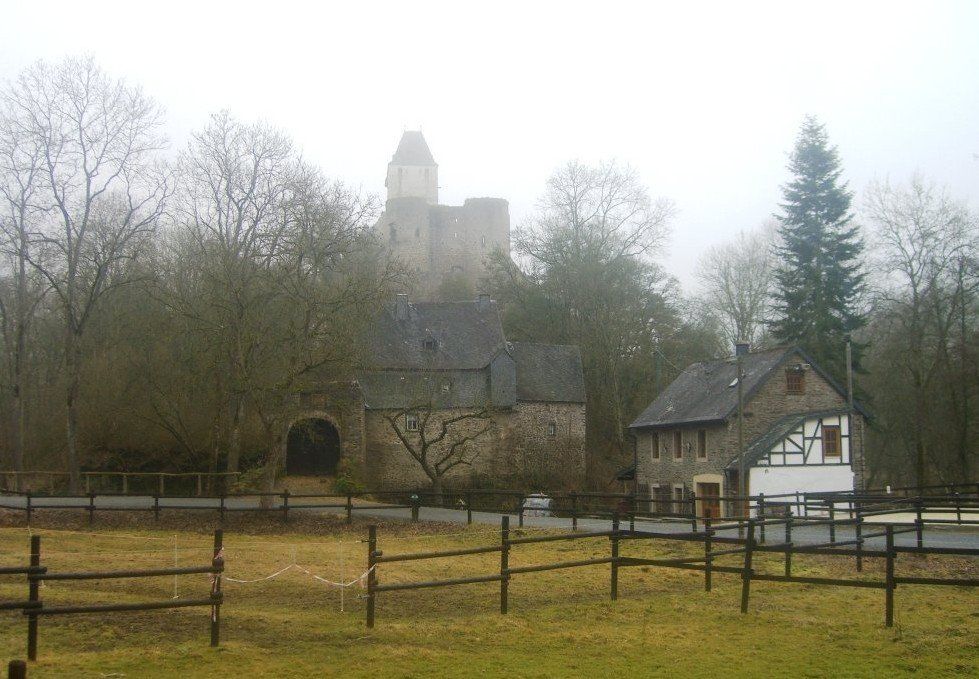 Blick auf Schloß Bürresheim