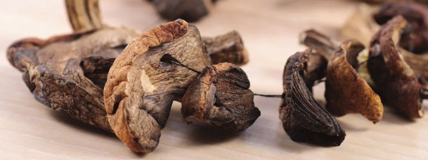 Shitake Shitake Immunsystem stärken, Immunsystem stärken, Heilpilz, Vitalpilz, Reishi Allergien, Depressionen Vitalpilze