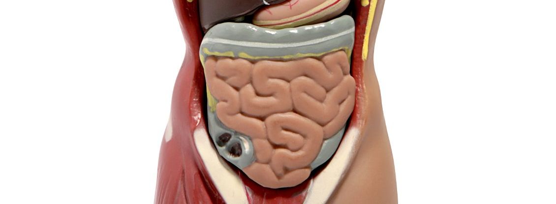 Sibo - Dünndarmfehlbesiedlung