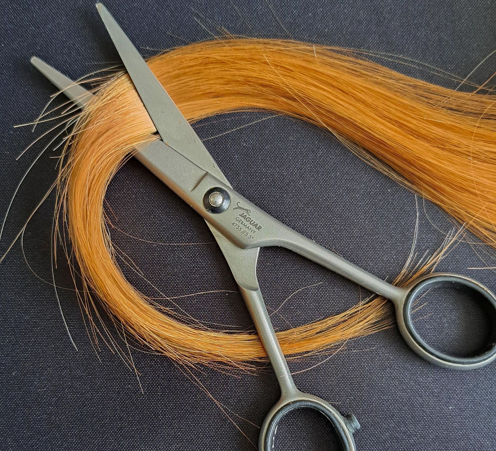 Haarmineralanalyse Haarmineralanalyse von Nextvital, Auswertung nach Cutler Augsburg, gestörter Minderalstofftransport behandeln