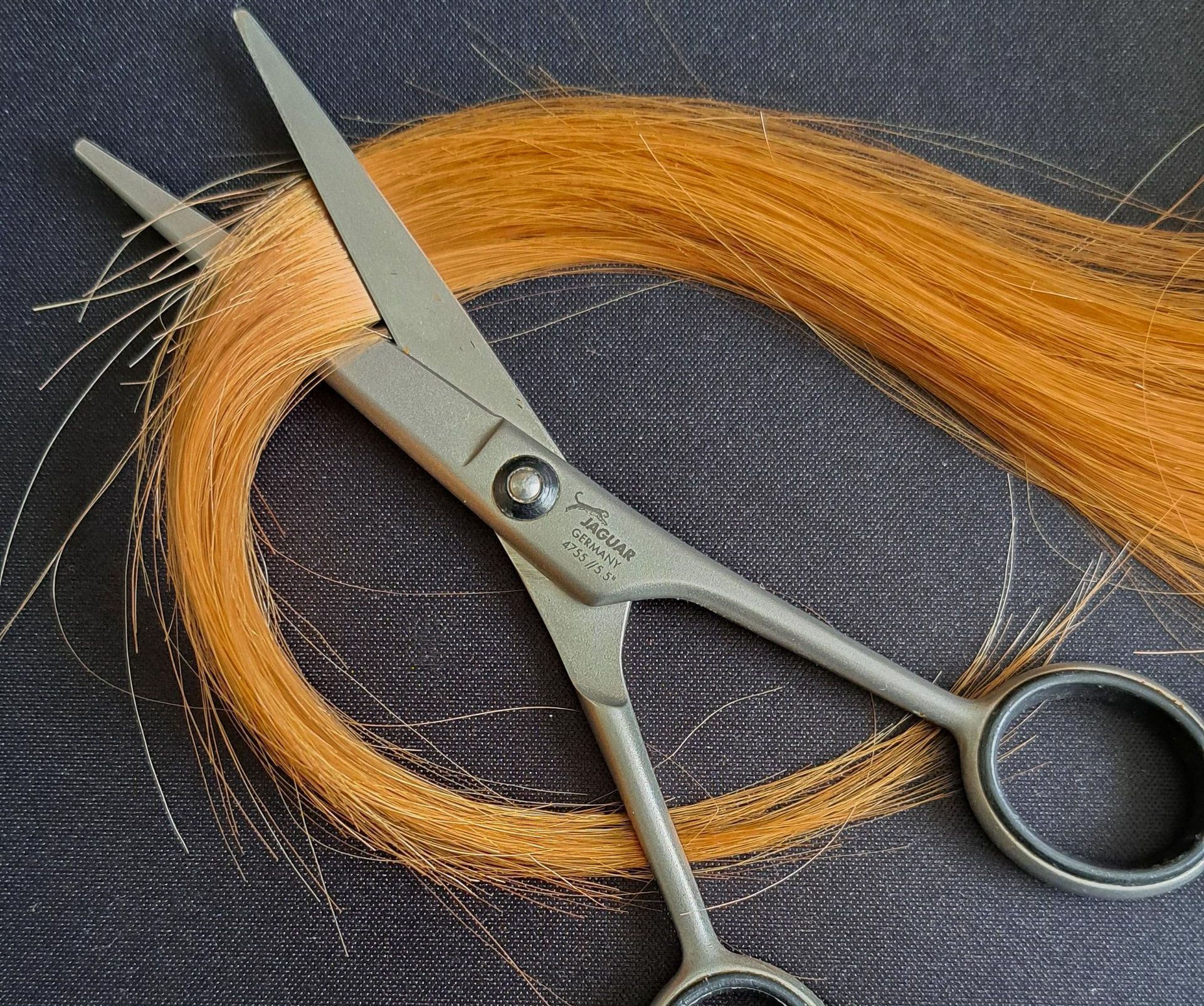 Haarmineralanalyse Haarmineralanalyse Augsburg, gestörter Mineralstofftransport, Schadstoffbelastung im Körper, Quecksilberbelastung, Blei,