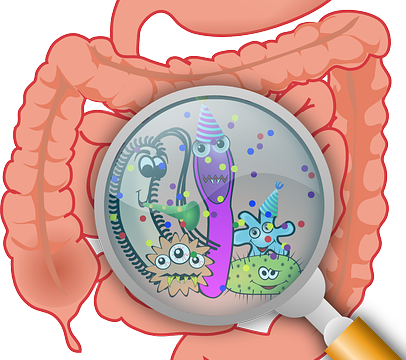 Darmflora ausbalancieren, Dysbiose behandeln, gute Bakterien ansiedeln, mit Präbiotika gute Bakterien füttern, mit Probiotika schlechte Bakterien verdrängen, Darmbarriere schützen,
Darmbarriere wiederherstellen, SIBO Behandlung, chronisch entzündliche Darmerkrankung, Entzündung im Darm behandeln