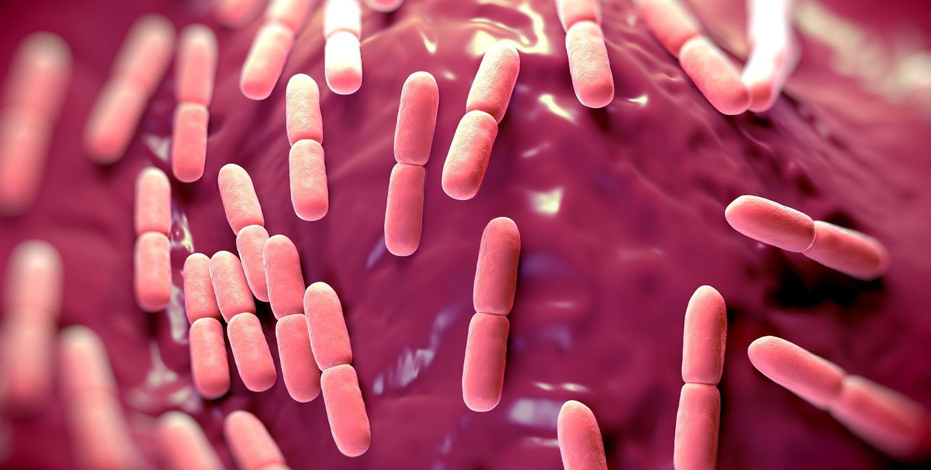 Darmtherapie Augsburg Darmflora ins Gleichgewicht, Darmgesundheit Augsburg, Darmtherapie in Augsburg, Darmtherapie in Gessertshausen, Verdauungsprobleme Augsburg, Durchfall Augsburg, postinfektiöses Reizdarmsyndrom Augsburg, Blähungen behandeln, Bauchkrämpfe SIBO, Bauchschmerzen SIBO, Meteorismus, Verstopfung SIBO, SIBO, Methan-Sibo, Wasserstoff-SIBO, Schwefelwasserstoff-SIBO, Dysbiose,