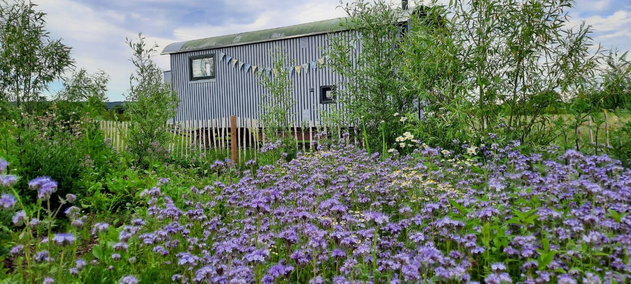 Salutarium: Naturgarten Mühlenweg 14, Garlstorf
Fotografie: Susan Wohlmuth