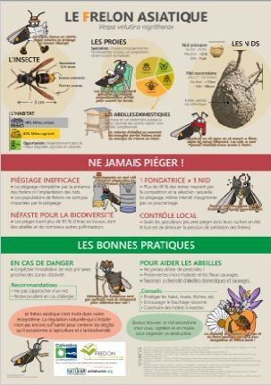 Cliquez pour afficher en pleine page