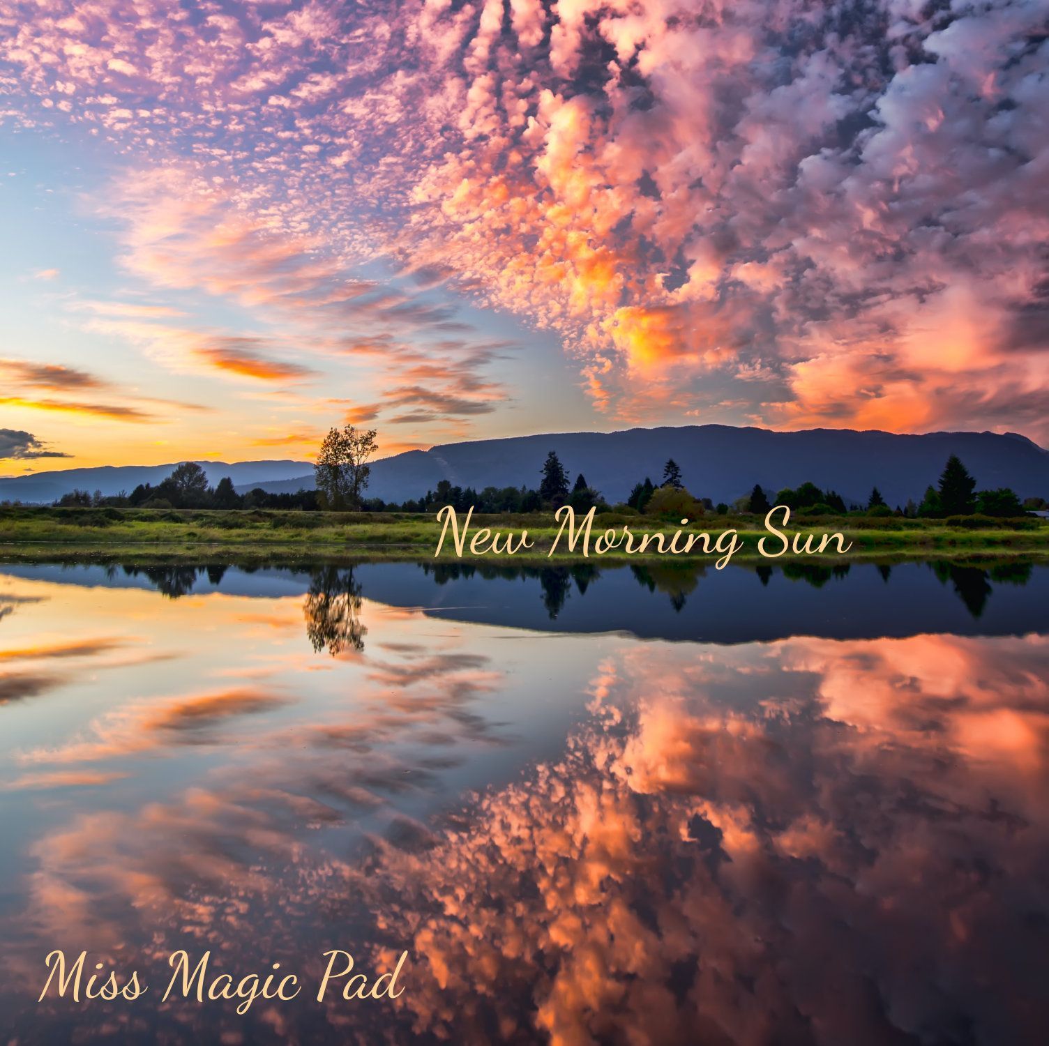 New Morning Sun