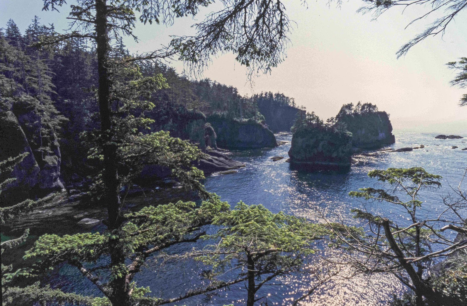 Cape Flattery Cape Flattery