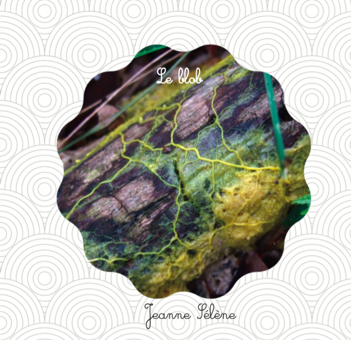 La couverture du documentaire jeunesse le blob montre une photo ronde bosselée d'un blob jaune sur un bois mort dans la nature.