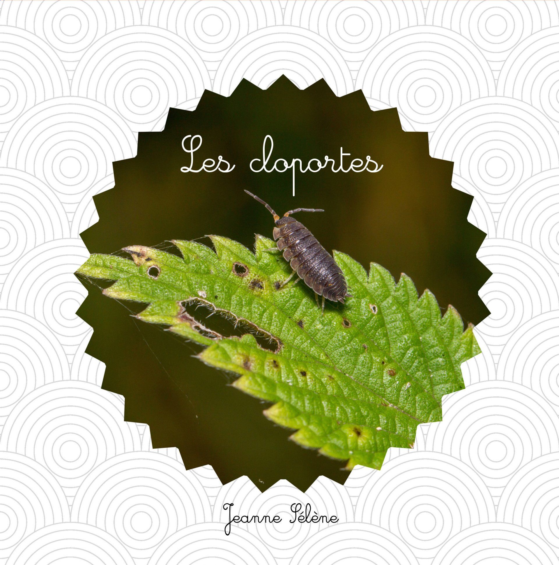 La couverture du document jeunesse Les cloportes est au format carré. Dans un rond dentelé on voit la photo d'un cloporte sur une feuille.
