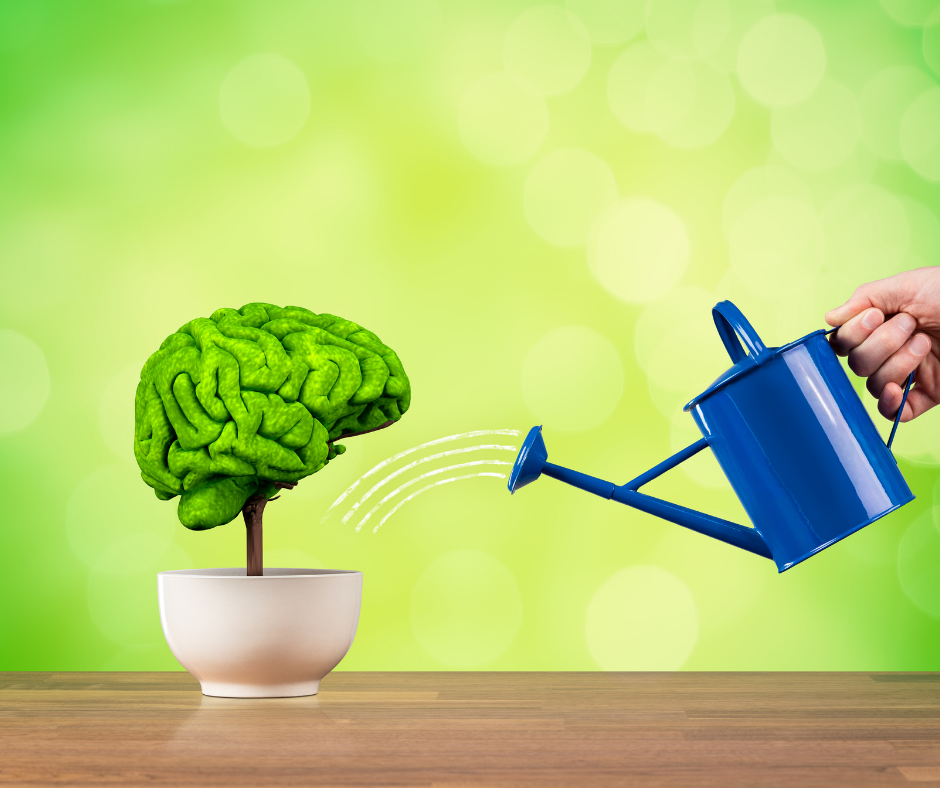 Hypnotherapy: Mind development, not mind control. Busting the myths and illuminating the benefits of hypnotherapy