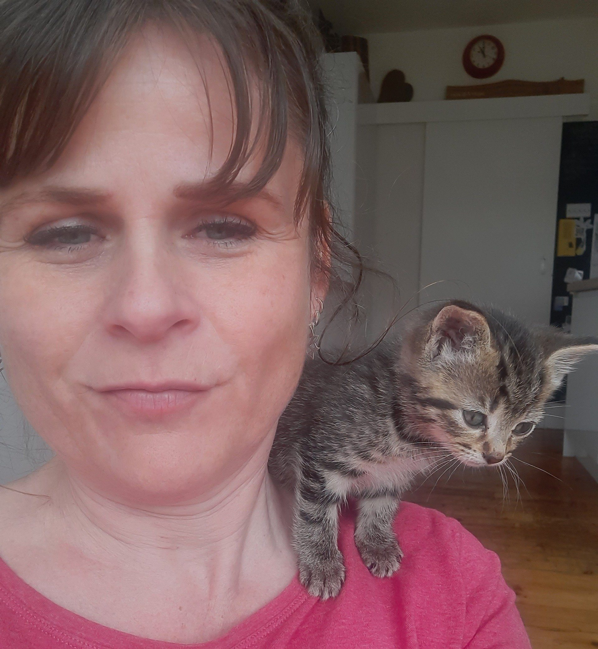 kitten sitting on Dominique's shoulder
