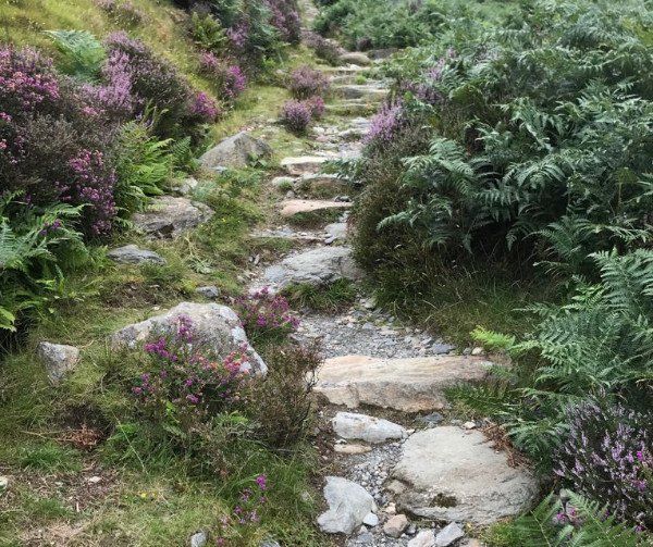 a stone path in the countryside