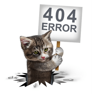 Fehler 404 - Seite leider nicht erreichbar