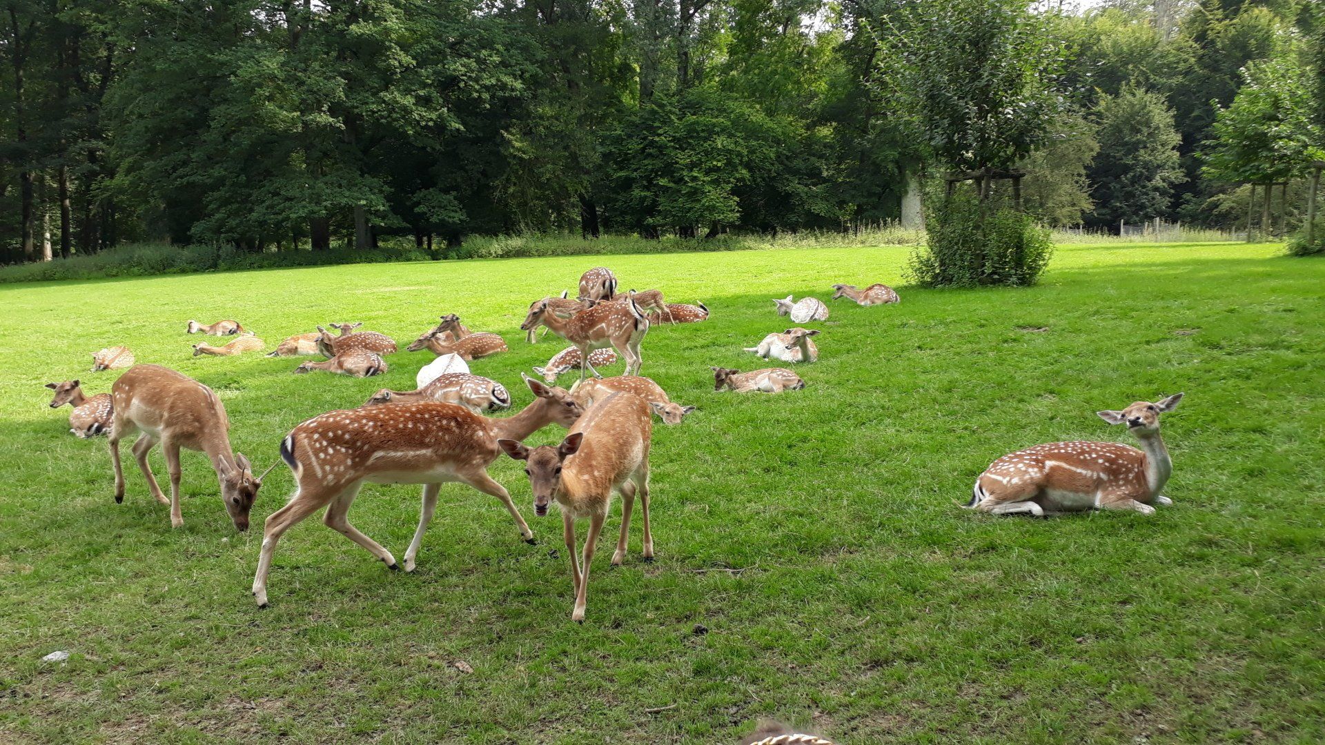 Grüne Oase In Düsseldorf