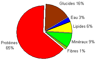 spiruline biologique santé locale pas cher bien etre