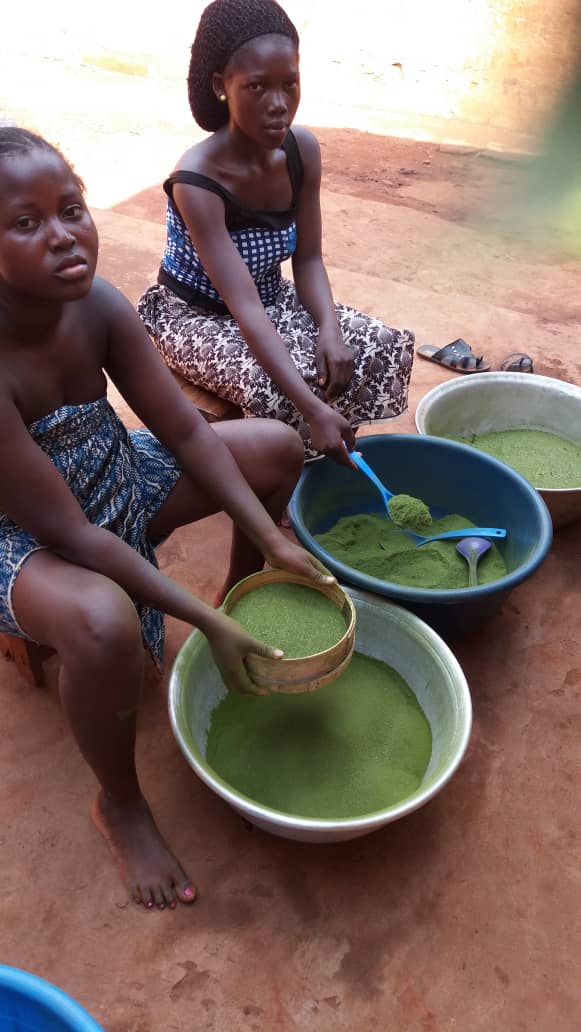 spiruline biologique santé locale pas cher bien etre artemisia  moringa