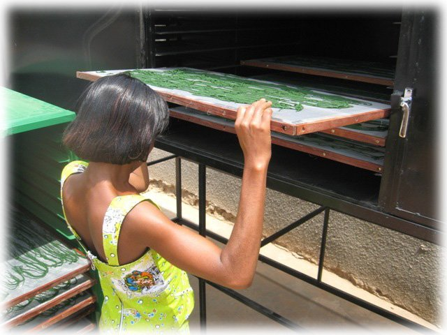 spiruline biologique santé locale pas cher bien etre