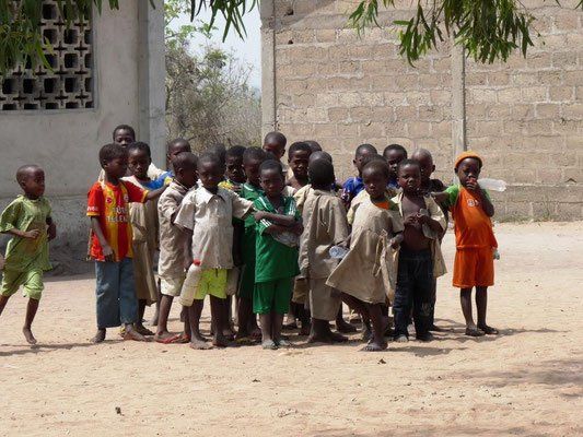 spiruline biologique santé locale pas cher bien etre artemisia moringa equitable