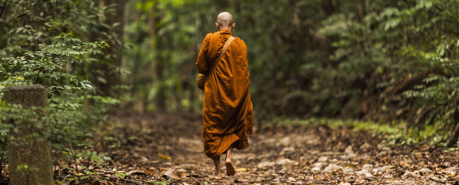 La marioneta no es el conductor, pero sin la marioneta el conductor no dirige el carro.