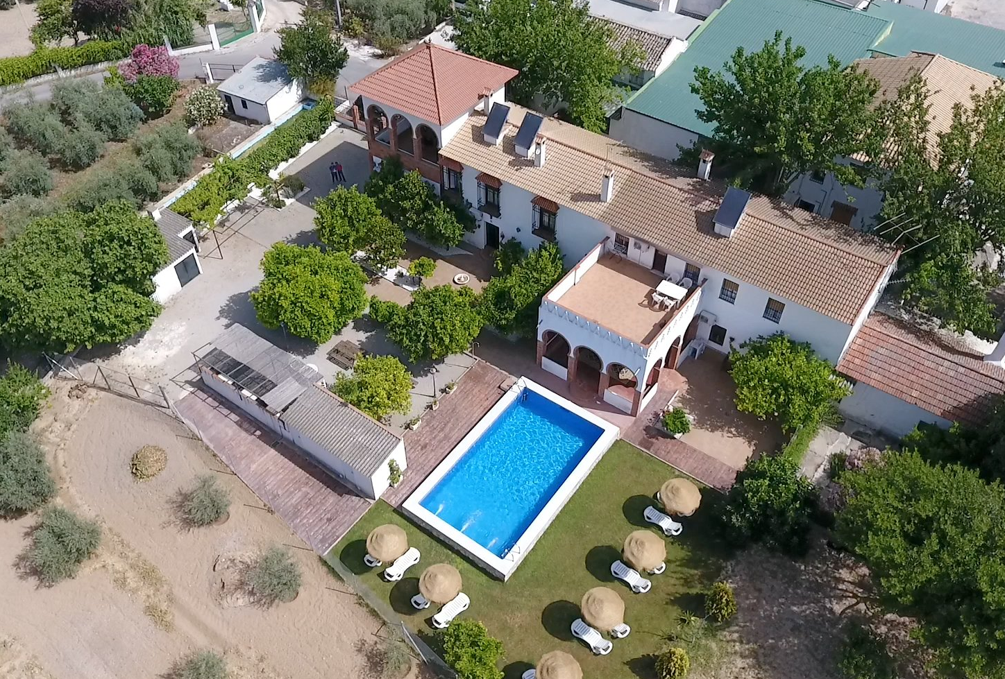 Descubre rutas, actividades y consejos para disfrutar del turismo rural en Cabra, Córdoba, en la