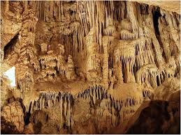 Muercielagos y estalagmitas en una cueva de Cabra, Córdoba