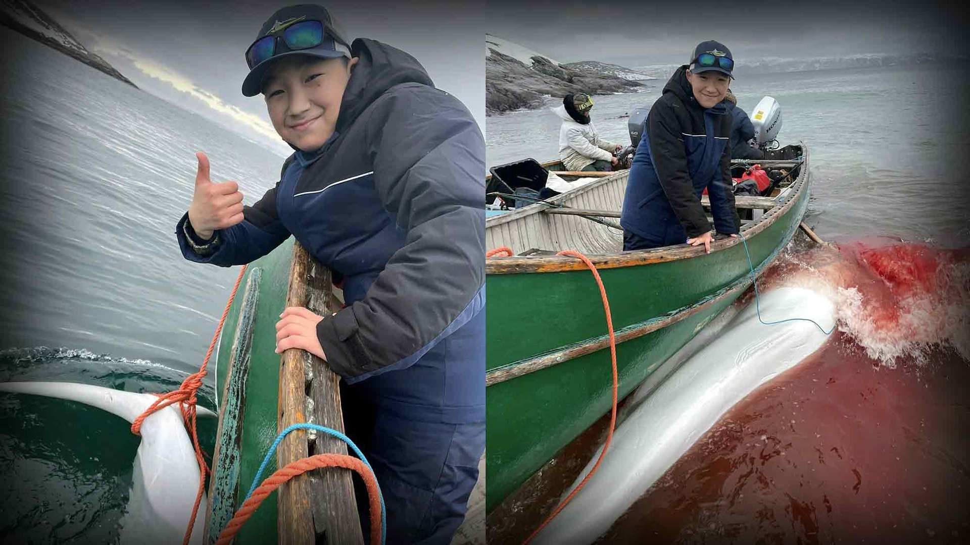 Save the Ocean, Jörn Kriebel, Save the Ocean, Faröer Inseln, Grind Wale Delfine, Delfine, Orca Wal, Beluga Wal, Blut, Abschaltungen, Mord, Dänemark, Waljagd, Kanada, Grönland, Eisbären, Waljagd Kanada, Waljagd Grönland, Orca, Orcas, Killerwale, Orca Jagt, Beluga Wale Jagt