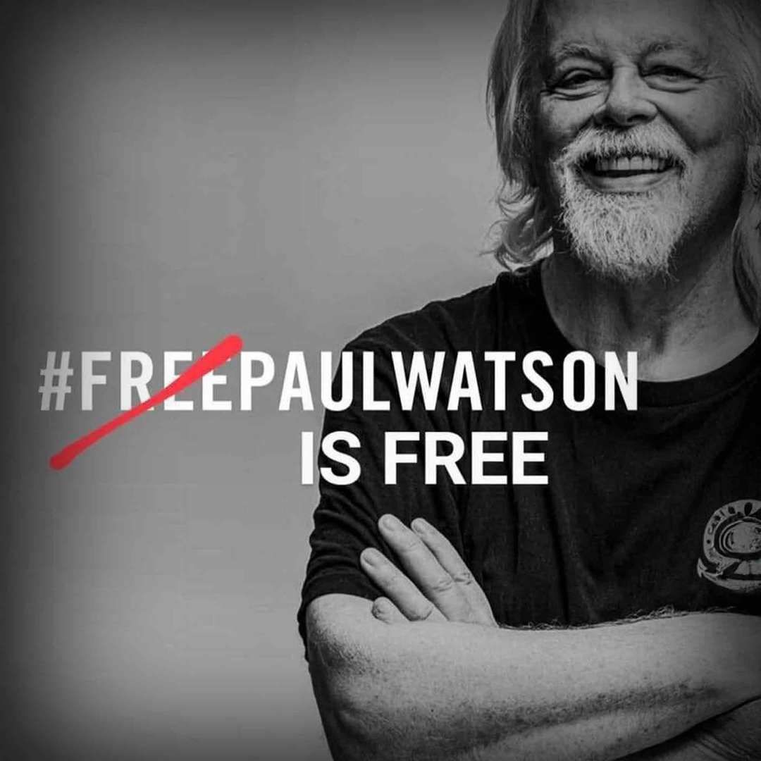 Jörn Kriebel, Save the Ocean, Paul Watson, Free Paul Watson,