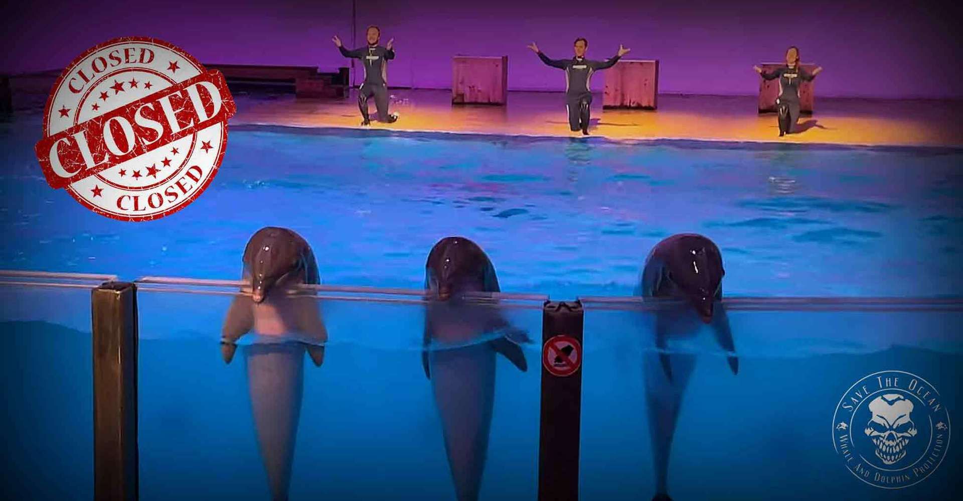 Save the Ocean, Jörn Kriebel, Delfinarium Brügge Belgien, Gefangenschaft Delfine, Gefangenschaft Orcas, Belgien,