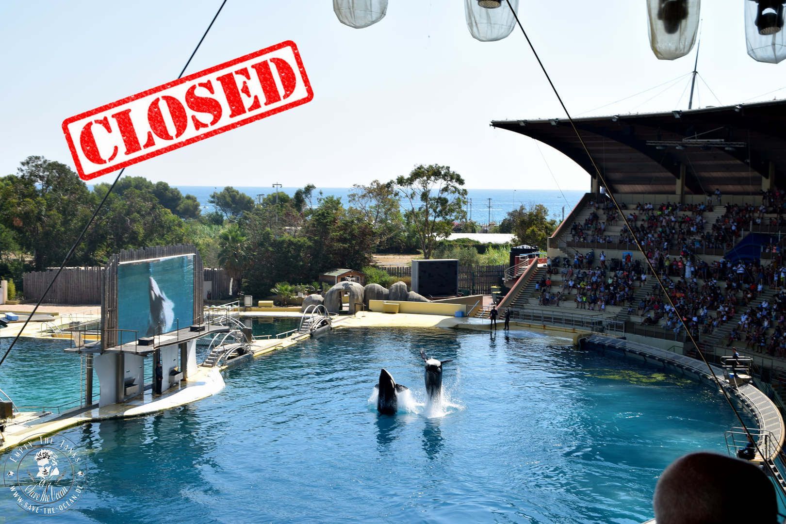 Save the Ocean, Jörn Kriebel, Wale, Orca, Beluga, Delfine, Delfinarium, Gefangenschaft, Wale Gefangenschaft, Orca Gefangenschaft, Delfine Gefangenschaft, Empty The Tanks, Dolphin Project, Ric Obarry, Blackfish, Captivity Whales & Dolphins,  Marineland Fra