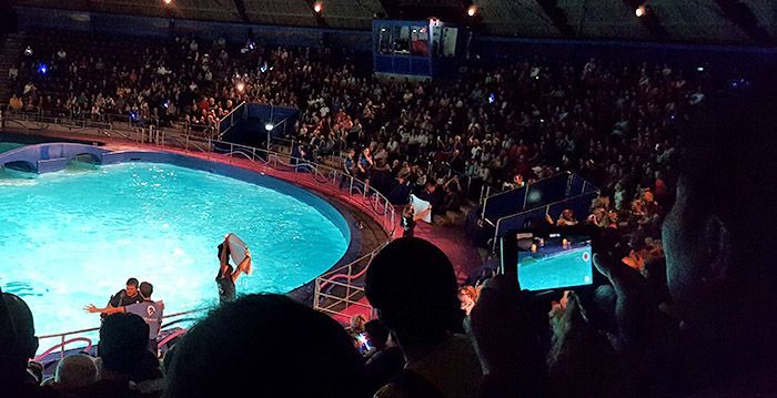 Save the Ocean, Jörn Kriebel, Delfinarium, Demo, Banner, Orca, Aktivisten,  Empty The Tanks, Wale Gefangenschaft,  Blackfish, Zoo, Tierschutz, Delfinarium Harderwijk,