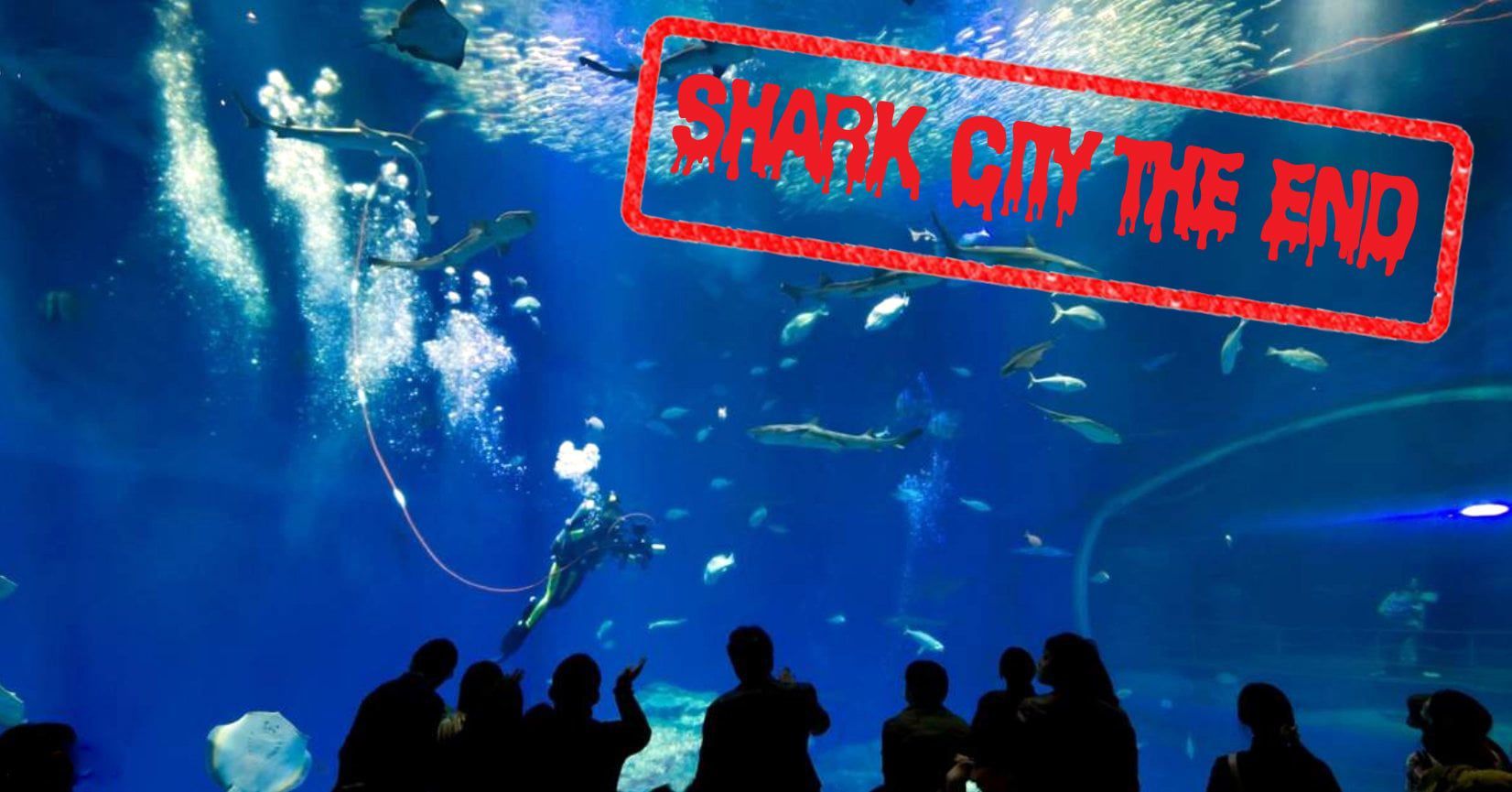 Save the Ocean, Jörn Kriebel, Wale, Orca, Beluga, Delfine, Delfinarium, Gefangenschaft, Wale Gefangenschaft, Orca Gefangenschaft, Delfine Gefangenschaft, Empty The Tanks, Dolphin Project, Ric Obarry, Blackfish, Captivity Whales & Dolphins, Haie