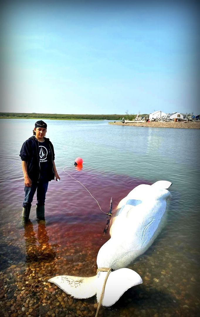 Save the Ocean, Jörn Kriebel, Save the Ocean, Faröer Inseln, Grind Wale Delfine, Delfine, Orca Wal, Beluga Wal, Blut, Abschaltungen, Mord, Dänemark, Waljagd, Kanada, Grönland, Eisbären, Waljagd Kanada, Waljagd Grönland, Orca, Orcas, Killerwale, Orca Jagt, Beluga Wale Jagt