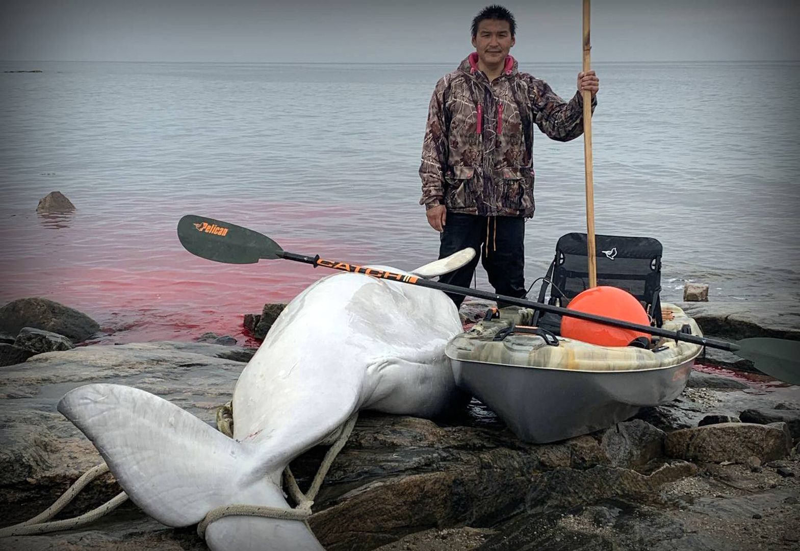 Save the Ocean, Jörn Kriebel, Save the Ocean, Faröer Inseln, Grind Wale Delfine, Delfine, Orca Wal, Beluga Wal, Blut, Abschaltungen, Mord, Dänemark, Waljagd, Kanada, Grönland, Eisbären, Waljagd Kanada, Waljagd Grönland, Orca, Orcas, Killerwale, Orca Jagt, Beluga Wale Jagt