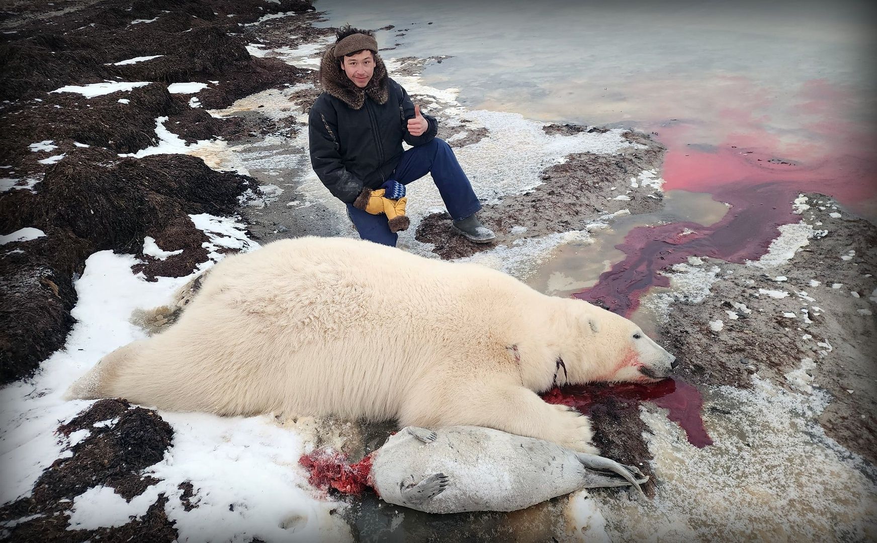 Save the Ocean, Jörn Kriebel, Save the Ocean, Faröer Inseln, Grind Wale Delfine, Delfine, Orca Wal, Beluga Wal, Blut, Abschaltungen, Mord, Dänemark, Waljagd, Kanada, Grönland, Eisbären, Waljagd Kanada, Waljagd Grönland, Orca, Orcas, Killerwale, Orca Jagt, Beluga Wale Jagt