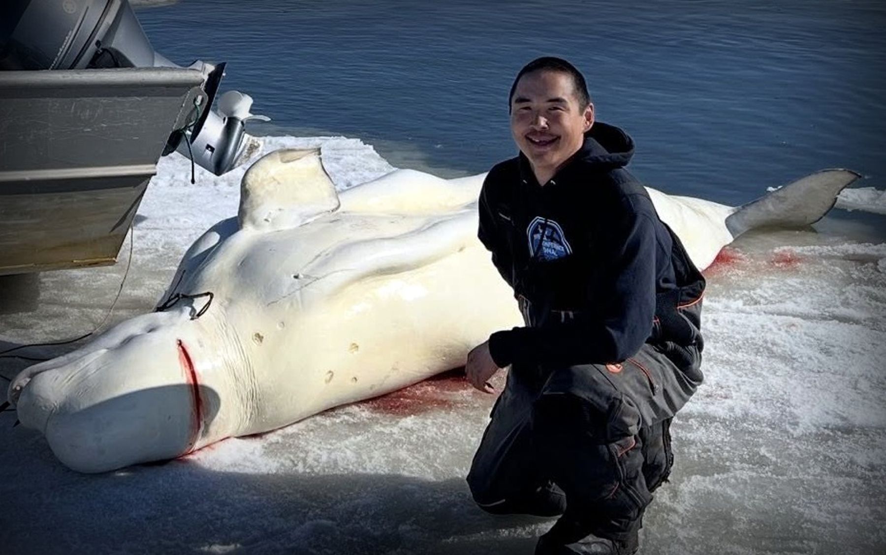 Save the Ocean, Jörn Kriebel, Save the Ocean, Faröer Inseln, Grind Wale Delfine, Delfine, Orca Wal, Beluga Wal, Blut, Abschaltungen, Mord, Dänemark, Waljagd, Kanada, Grönland, Eisbären, Waljagd Kanada, Waljagd Grönland, Orca, Orcas, Killerwale, Orca Jagt, Beluga Wale Jagt