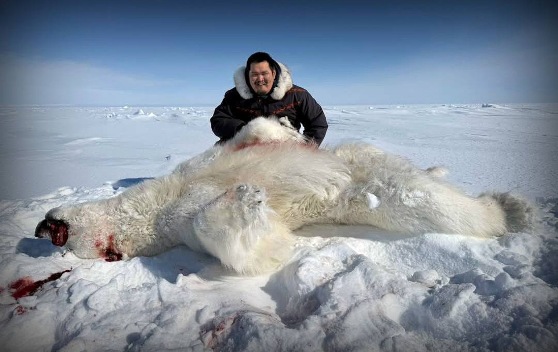 Save the Ocean, Jörn Kriebel, Save the Ocean, Faröer Inseln, Grind Wale Delfine, Delfine, Orca Wal, Beluga Wal, Blut, Abschaltungen, Mord, Dänemark, Waljagd, Kanada, Grönland, Eisbären, Waljagd Kanada, Waljagd Grönland, Orca, Orcas, Killerwale, Orca Jagt, Beluga Wale Jagt